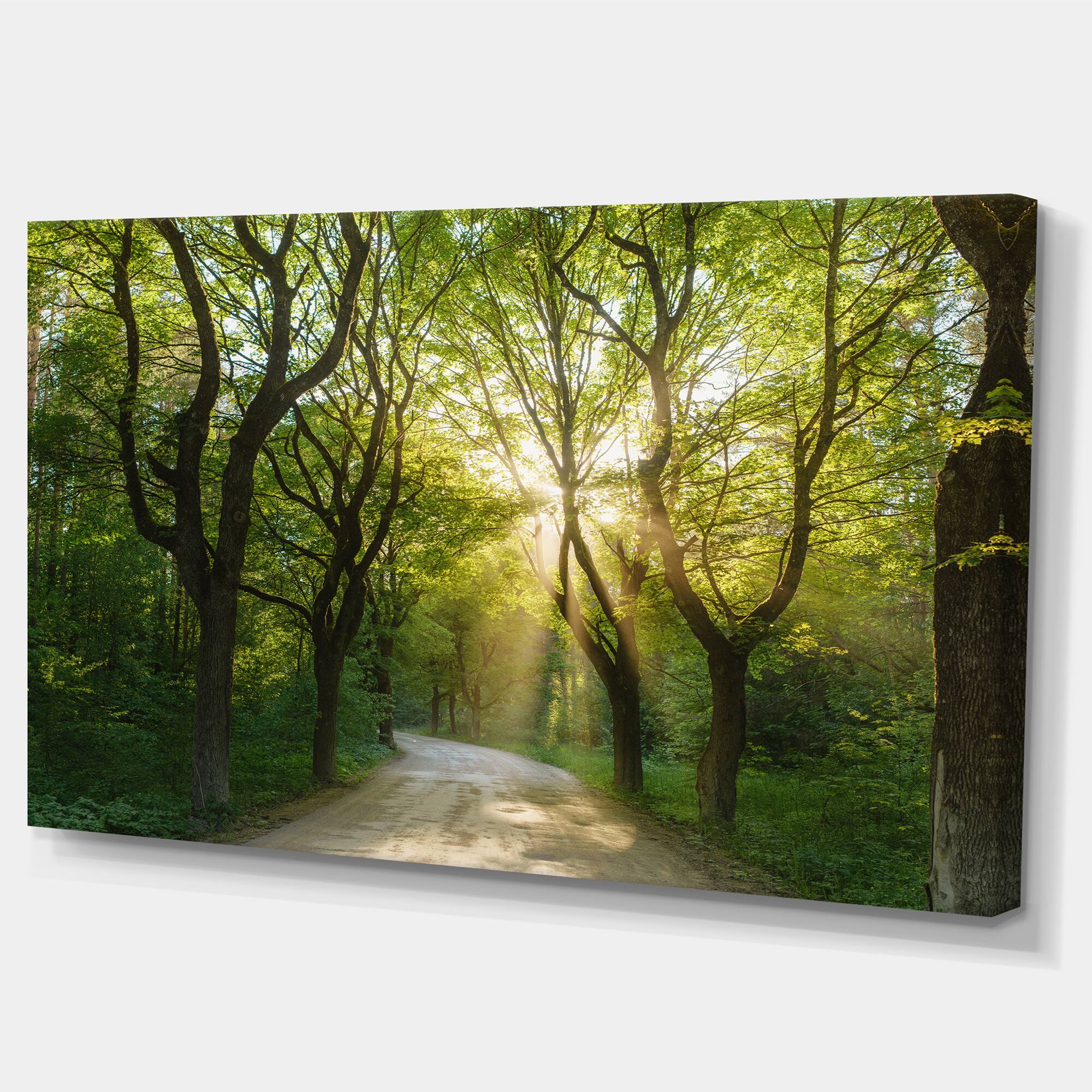 Designart - Evening in Green Forest - Large landscape Canvas Art Print